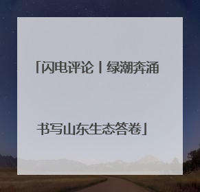 闪电评论丨绿潮奔涌 书写山东生态答卷