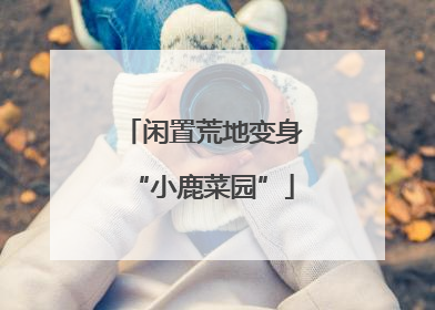闲置荒地变身“小鹿菜园”