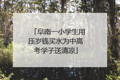 阜南一小学生用压岁钱买水为中高考学子送清凉