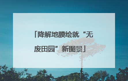 降解地膜绘就“无废田园”新图景