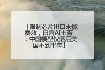 限制芯片出口未能奏效，白宫AI主管：中国模型仅落后美国不到半年