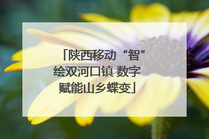 陕西移动“智”绘双河口镇 数字赋能山乡蝶变