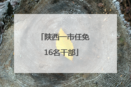 陕西一市任免16名干部