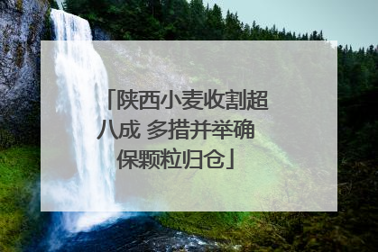 陕西小麦收割超八成 多措并举确保颗粒归仓