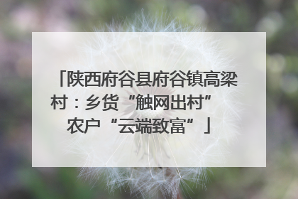 陕西府谷县府谷镇高梁村：乡货“触网出村” 农户“云端致富”
