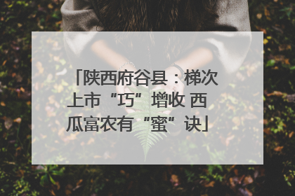 陕西府谷县：梯次上市“巧”增收 西瓜富农有“蜜”诀