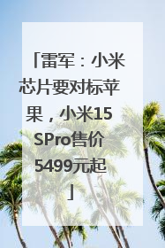 雷军：小米芯片要对标苹果，小米15SPro售价5499元起