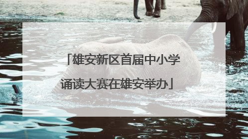 雄安新区首届中小学诵读大赛在雄安举办