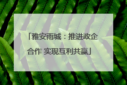 雅安雨城：推进政企合作 实现互利共赢