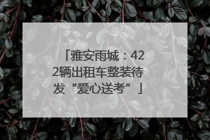 雅安雨城：422辆出租车整装待发“爱心送考”
