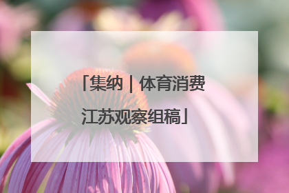 集纳｜体育消费江苏观察组稿