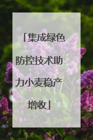 集成绿色防控技术助力小麦稳产增收