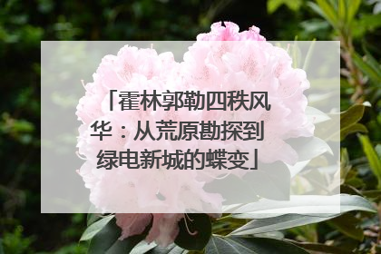 霍林郭勒四秩风华：从荒原勘探到绿电新城的蝶变
