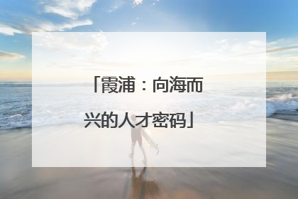 霞浦：向海而兴的人才密码