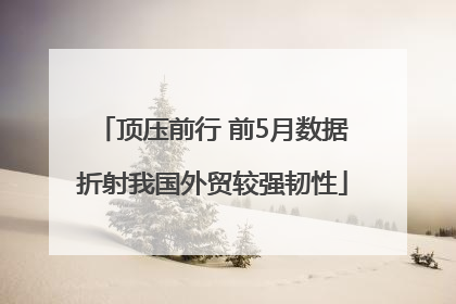 顶压前行 前5月数据折射我国外贸较强韧性