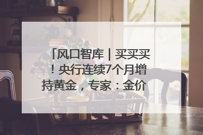 风口智库｜买买买！央行连续7个月增持黄金，专家：金价或仍易涨难跌