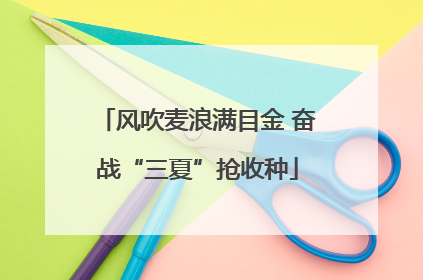 风吹麦浪满目金 奋战“三夏”抢收种