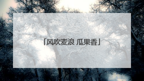 风吹麦浪 瓜果香