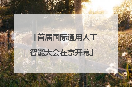首届国际通用人工智能大会在京开幕