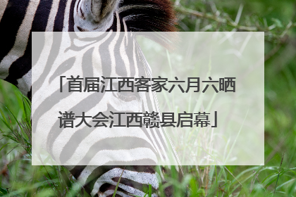 首届江西客家六月六晒谱大会江西赣县启幕