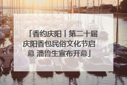 香约庆阳丨第二十届庆阳香包民俗文化节启幕 潘鲁生宣布开幕