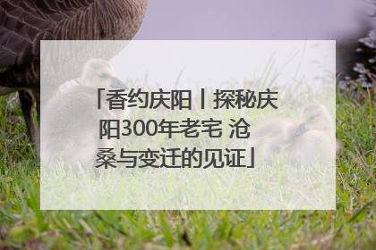 香约庆阳丨探秘庆阳300年老宅 沧桑与变迁的见证