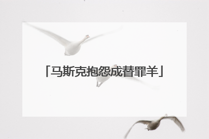 马斯克抱怨成替罪羊