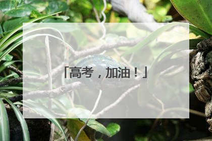 高考，加油！