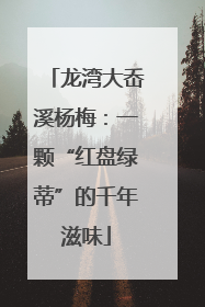 龙湾大岙溪杨梅：一颗“红盘绿蒂”的千年滋味