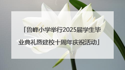 鲁峰小学举行2025届学生毕业典礼暨建校十周年庆祝活动
