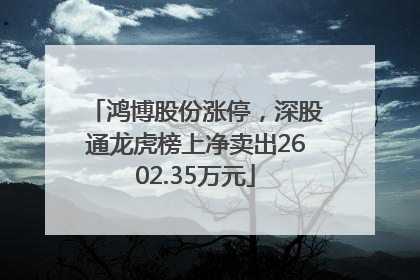 鸿博股份涨停，深股通龙虎榜上净卖出2602.35万元