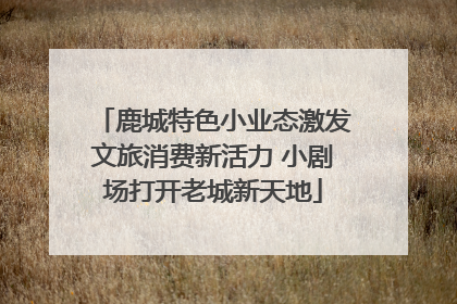 鹿城特色小业态激发文旅消费新活力 小剧场打开老城新天地
