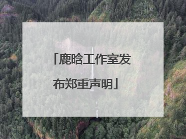 鹿晗工作室发布郑重声明