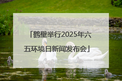 鹤壁举行2025年六五环境日新闻发布会