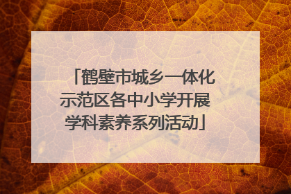 鹤壁市城乡一体化示范区各中小学开展学科素养系列活动