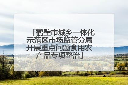 鹤壁市城乡一体化示范区市场监管分局开展重点问题食用农产品专项整治
