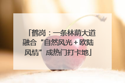 鹤岗：一条林荫大道融合“自然风光＋欧陆风情”成热门打卡地