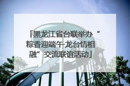 黑龙江省台联举办“粽香迎端午·龙台情相融”交流联谊活动