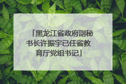 黑龙江省政府副秘书长许振宇已任省教育厅党组书记