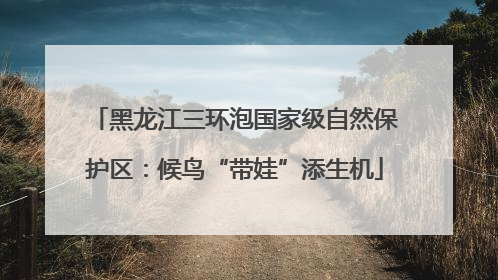 黑龙江三环泡国家级自然保护区：候鸟“带娃”添生机