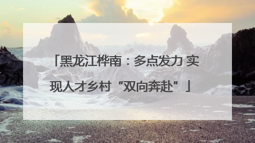 黑龙江桦南：多点发力 实现人才乡村“双向奔赴”