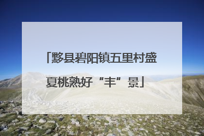 黟县碧阳镇五里村盛夏桃熟好“丰”景