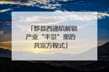 黟县西递镇解锁产业“丰景”里的共富方程式