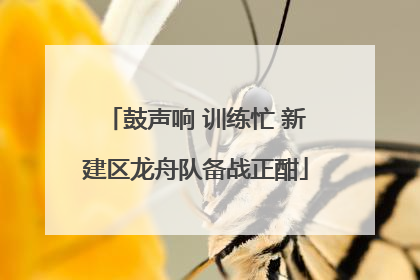 鼓声响 训练忙 新建区龙舟队备战正酣
