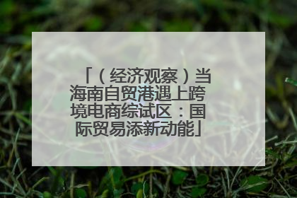 （经济观察）当海南自贸港遇上跨境电商综试区：国际贸易添新动能