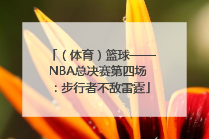 （体育）篮球——NBA总决赛第四场：步行者不敌雷霆