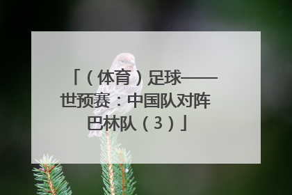 （体育）足球——世预赛：中国队对阵巴林队（3）