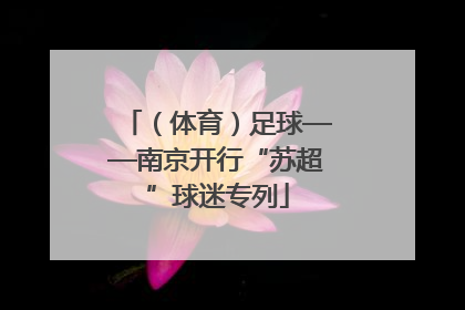 （体育）足球——南京开行“苏超”球迷专列