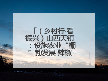 （乡村行·看振兴）山西天镇：设施农业“棚”勃发展 辣椒产业蓄势待发