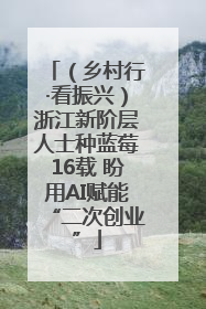 （乡村行·看振兴）浙江新阶层人士种蓝莓16载 盼用AI赋能“二次创业”